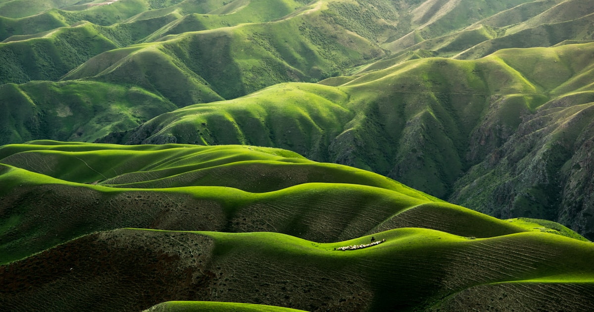 Abstract watercolor of rolling green hills lit by soft light — the liver's capacity to heal and regenerate