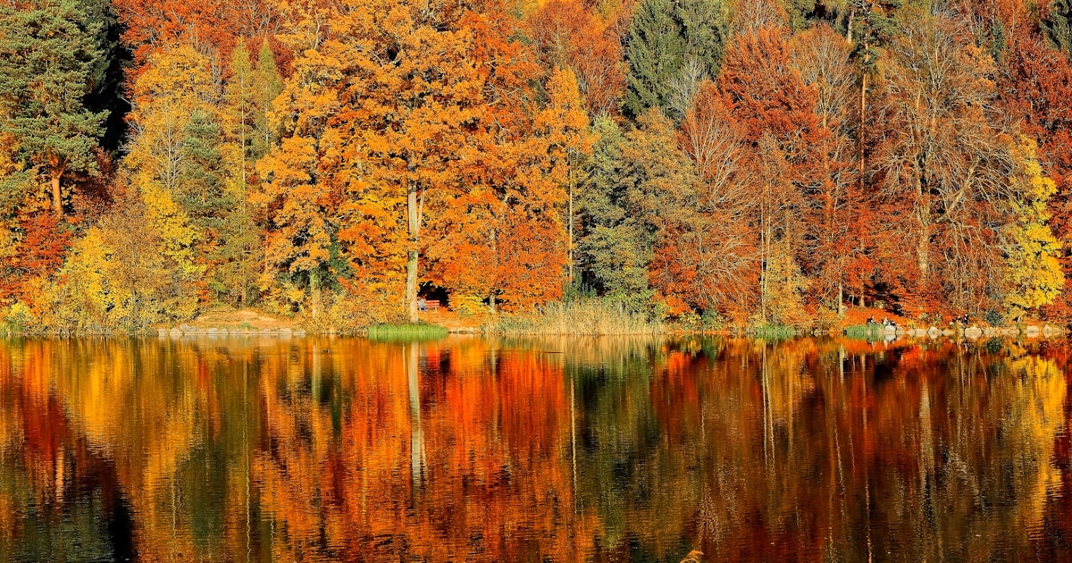 Abstract watercolor of vivid autumn colors blending and reflected in still water — creative expression and healing