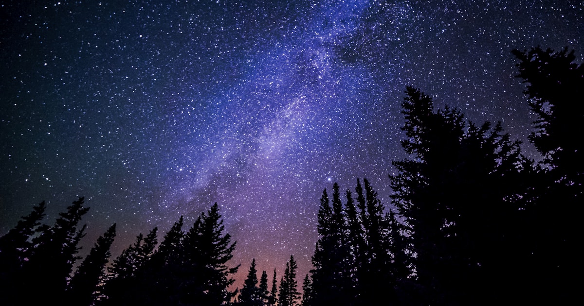 Abstract watercolor of a vast starry sky over a quiet forest — the durable skills CBT leaves behind, guiding the way long after therapy ends
