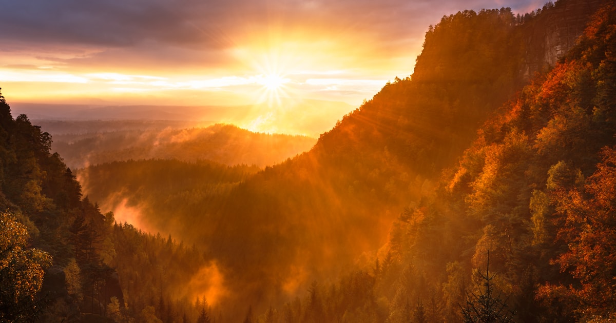 Abstract watercolor of sunrise breaking over a forested valley — the calm after a crisis that was safely managed