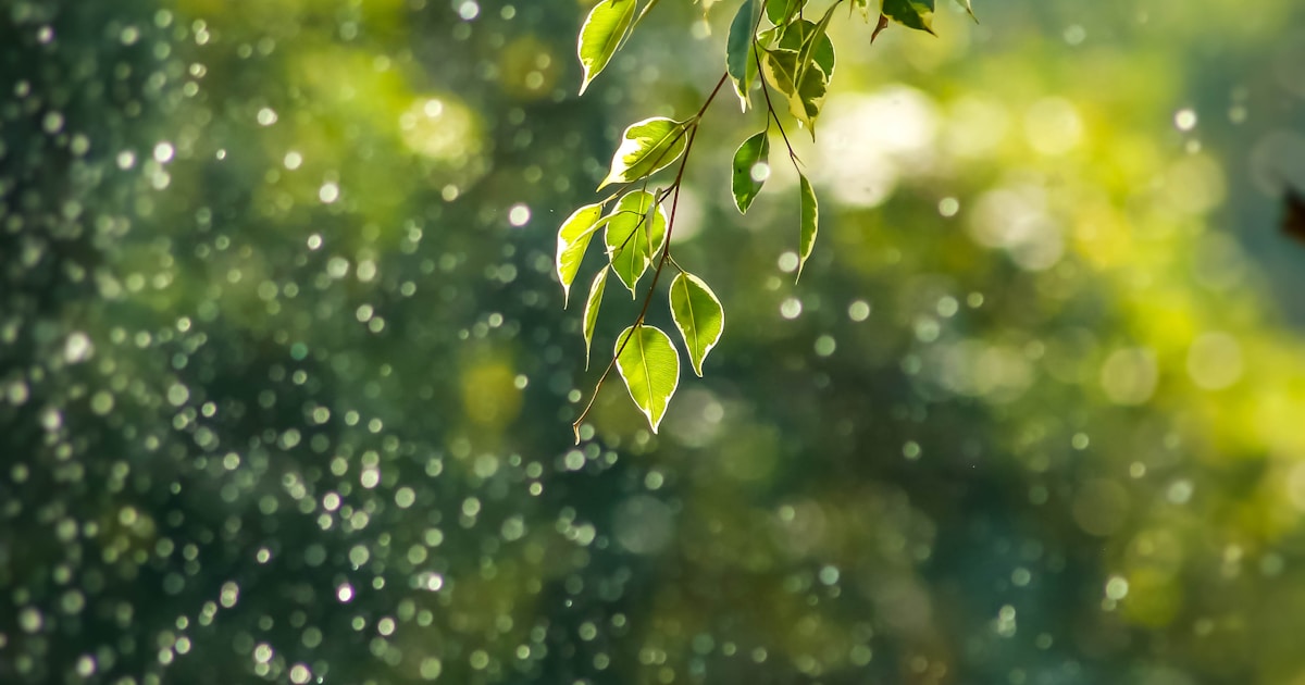 A hand reaching toward soft morning light through a window — the quiet moment when the body in withdrawal starts asking for help