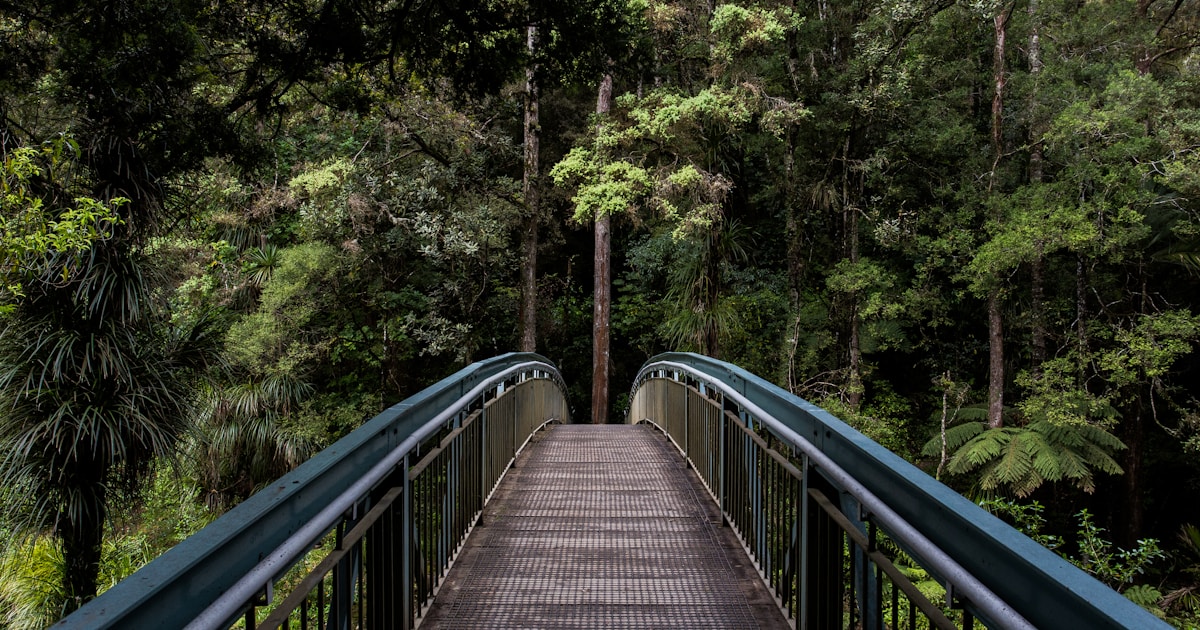 Abstract watercolor of a footbridge leading gently into a green forest — whole-person balance and connection