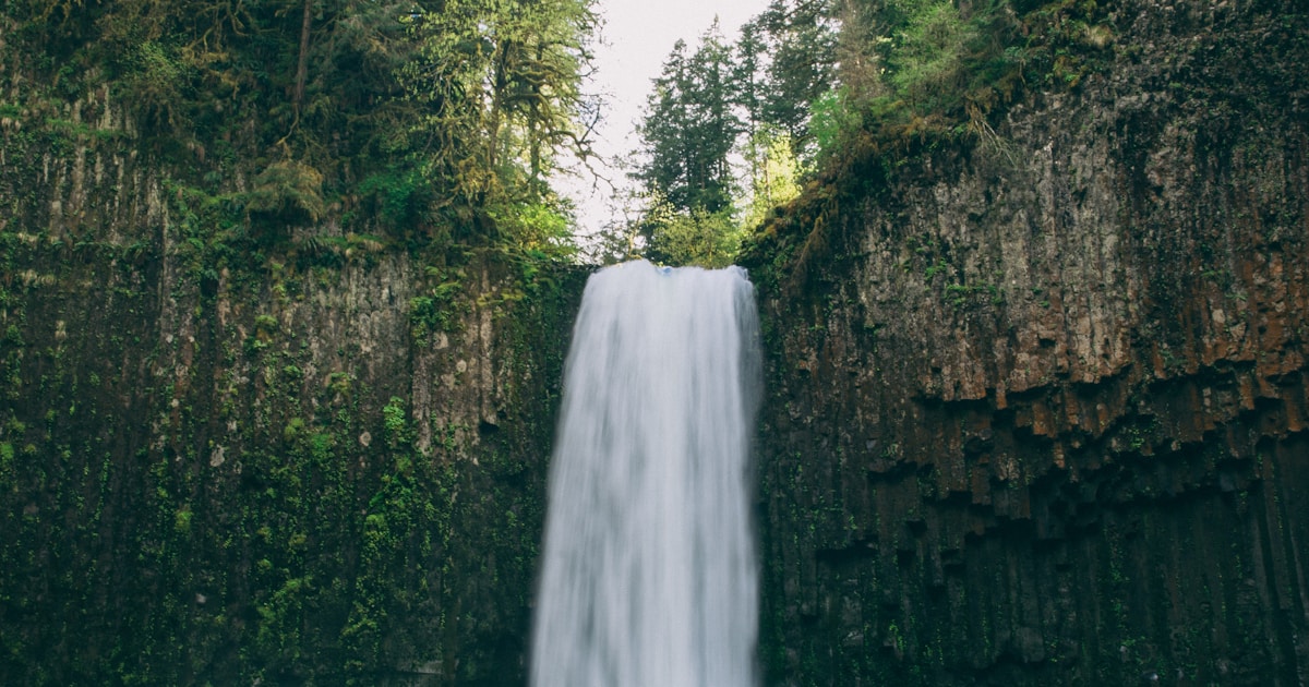 A tall waterfall flowing steadily over a moss-lined cliff — successful family conversations about addiction have the same quality: a steady current, no force, the same direction sustained over time