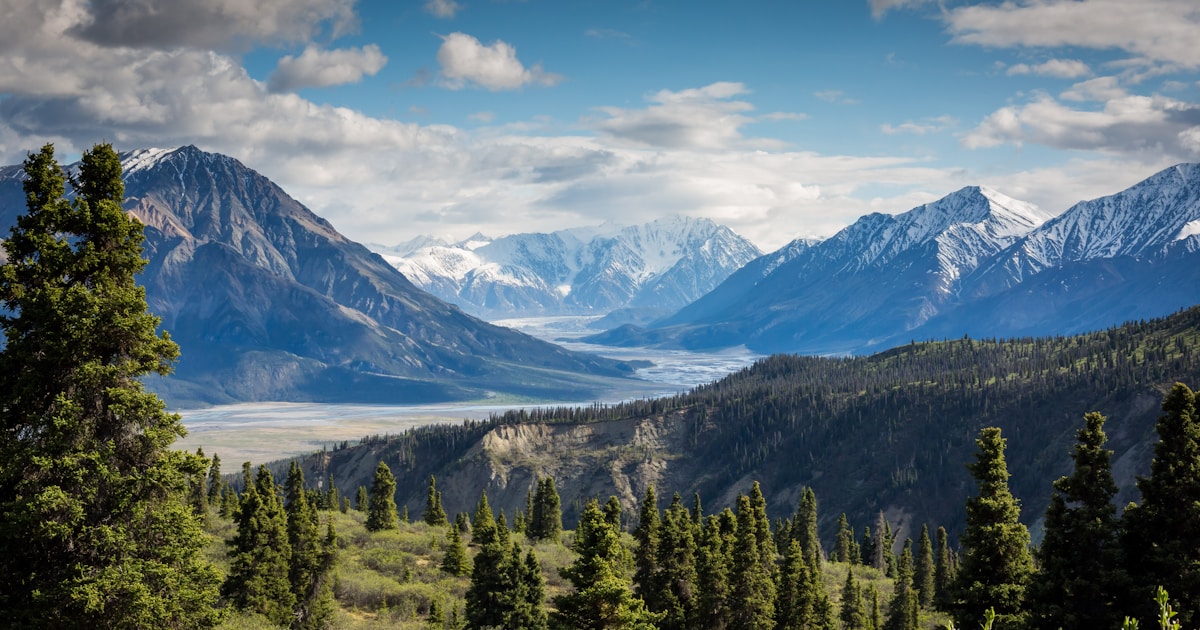 A still mountain valley reflecting both sky and trees in equal proportion — veteran recovery is the long quiet work of reintegrating service, trauma, and substance use into a coherent civilian life with structured support