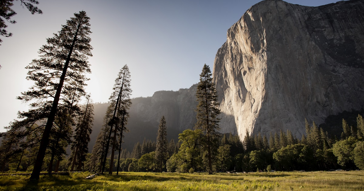 A quiet valley between tall pines and a great rock face — relapse, if it happens, can become the moment that produces the deepest change in the long-term recovery plan, not the end of it